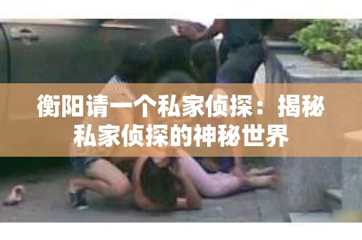 衡阳请一个私家侦探：揭秘私家侦探的神秘世界