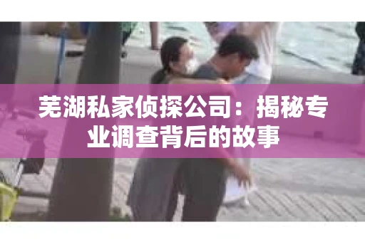 芜湖私家侦探公司：揭秘专业调查背后的故事