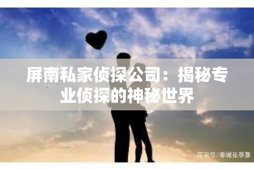 屏南私家侦探公司：揭秘专业侦探的神秘世界