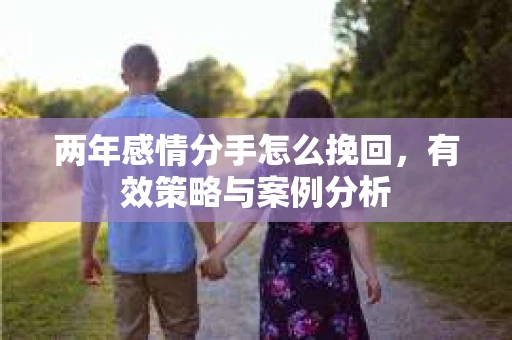 两年感情分手怎么挽回，有效策略与案例分析