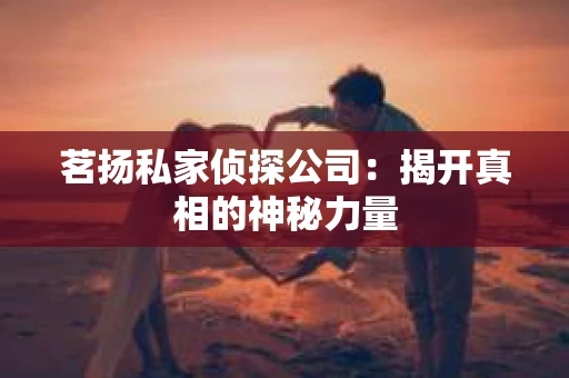 茗扬私家侦探公司：揭开真相的神秘力量