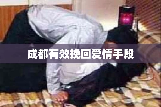 成都有效挽回爱情手段