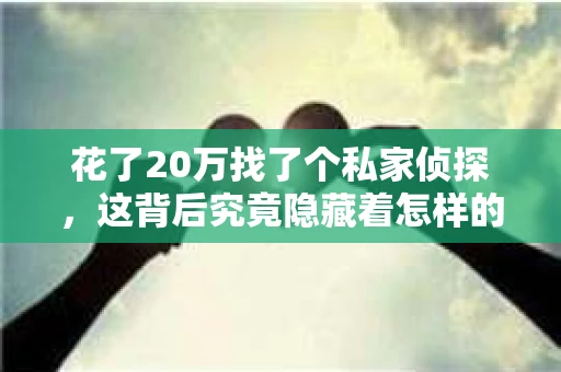 花了20万找了个私家侦探，这背后究竟隐藏着怎样的故事？