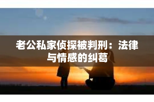 老公私家侦探被判刑：法律与情感的纠葛