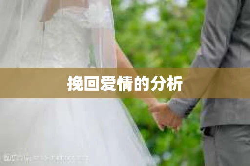 挽回爱情的分析