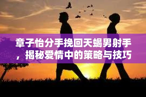 章子怡分手挽回天蝎男射手，揭秘爱情中的策略与技巧
