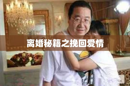 离婚秘籍之挽回爱情