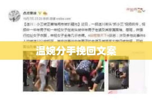 温婉分手挽回文案