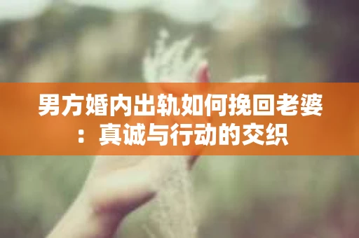 男方婚内出轨如何挽回老婆：真诚与行动的交织