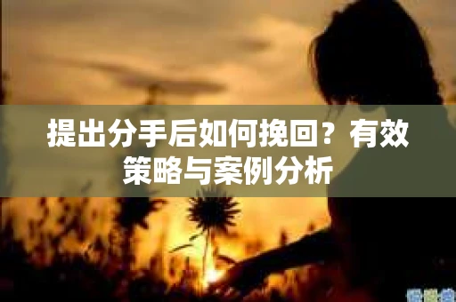 提出分手后如何挽回?有效策略与案例分析 提出分手后如何挽回?有效策略与案例分析