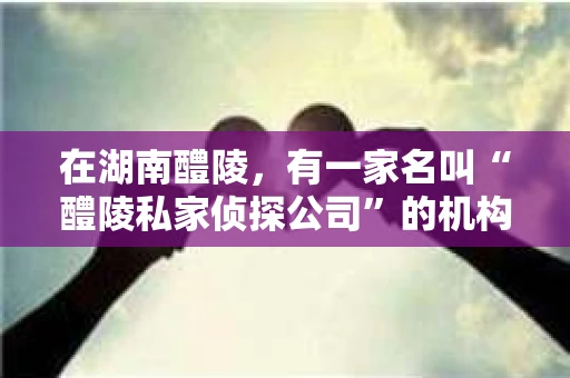 在湖南醴陵，有一家名叫“醴陵私家侦探公司”的机构，它如同这座古城中的一颗明珠，默默守护着这座城市的故事。今天，就让我带你走进这家侦探公司，了解他们的故事和那些不为人知的秘密。