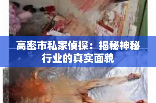 高密市私家侦探：揭秘神秘行业的真实面貌