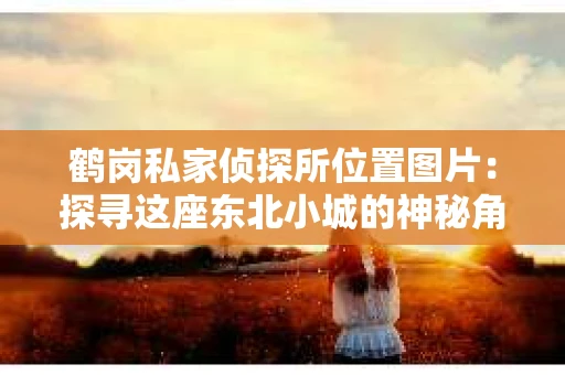 鹤岗私家侦探所位置图片：探寻这座东北小城的神秘角落
