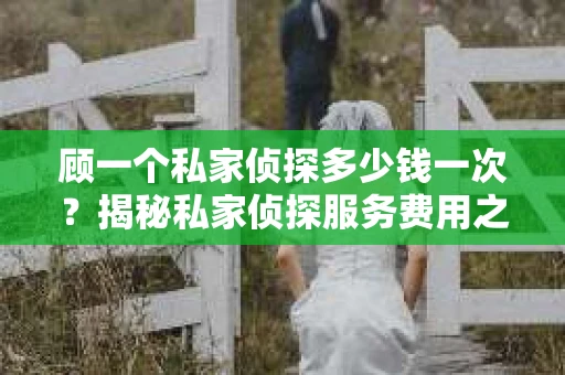 顾一个私家侦探多少钱一次？揭秘私家侦探服务费用之谜