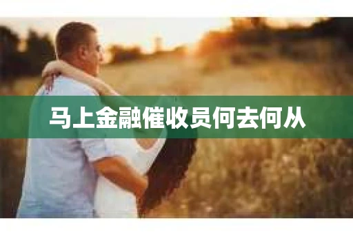 马上金融催收员何去何从