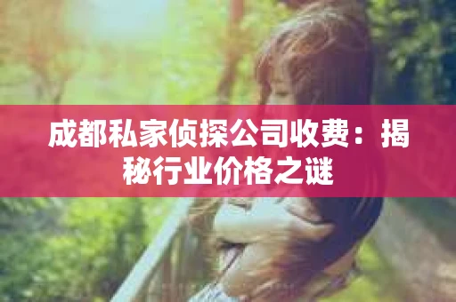 成都私家侦探公司收费：揭秘行业价格之谜