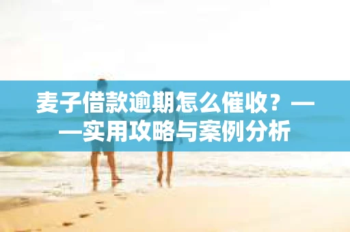麦子借款逾期怎么催收？——实用攻略与案例分析