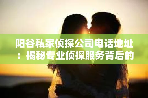 阳谷私家侦探公司电话地址：揭秘专业侦探服务背后的故事