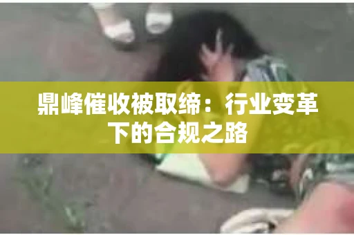 鼎峰催收被取缔：行业变革下的合规之路