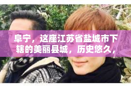 阜宁，这座江苏省盐城市下辖的美丽县城，历史悠久，风景如画。但在这个看似平静的小县城里，你是否也曾有过需要私家侦探帮助的时刻呢？今天，我们就来聊聊阜宁是否有私家侦探，以及他们能为我们的生活带来哪些帮助。