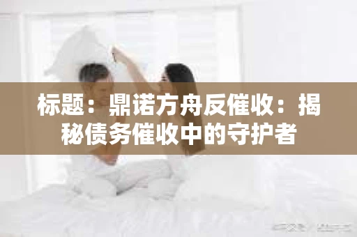 标题：鼎诺方舟反催收：揭秘债务催收中的守护者