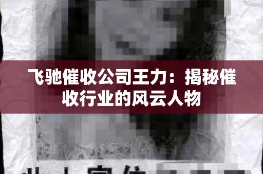 飞驰催收公司王力：揭秘催收行业的风云人物