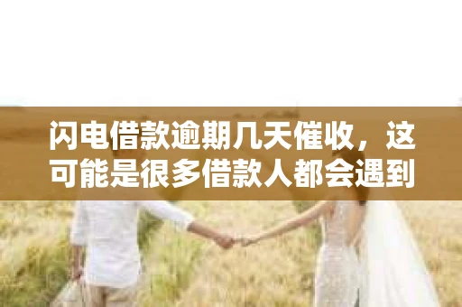 闪电借款逾期几天催收，这可能是很多借款人都会遇到的问题。今天，我们就来聊聊这个话题，看看逾期后借款平台是如何催收的，以及借款人应该如何应对。
