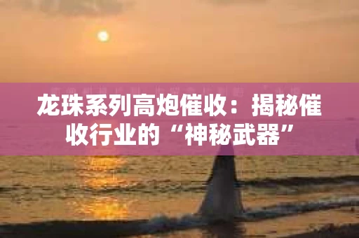 龙珠系列高炮催收：揭秘催收行业的“神秘武器”
