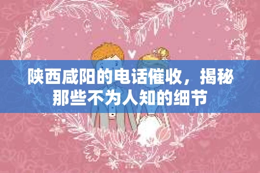 陕西咸阳的电话催收，揭秘那些不为人知的细节