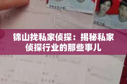 锦山找私家侦探：揭秘私家侦探行业的那些事儿