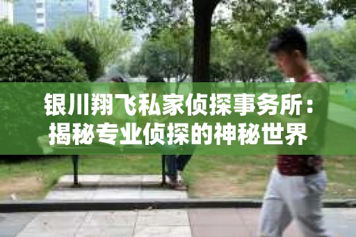 银川翔飞私家侦探事务所：揭秘专业侦探的神秘世界