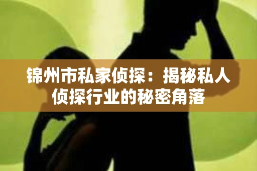 锦州市私家侦探：揭秘私人侦探行业的秘密角落