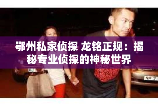 鄂州私家侦探 龙铭正规：揭秘专业侦探的神秘世界