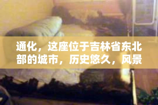 通化，这座位于吉林省东北部的城市，历史悠久，风景秀丽。然而，随着社会的发展，人们的生活节奏加快，一些问题也随之而来。比如，有些人可能会遇到一些棘手的问题，需要寻求专业帮助。那么，问题来了，通化有没有私家侦探呢？下面，我就来为大家揭开这个谜底。
