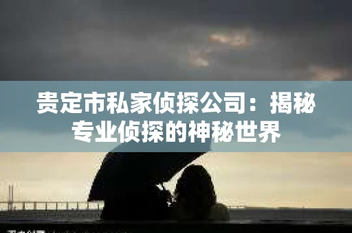 贵定市私家侦探公司：揭秘专业侦探的神秘世界