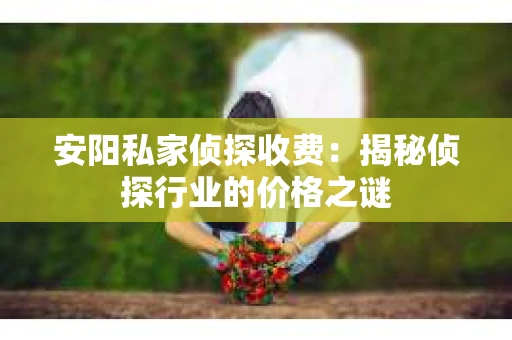 安阳私家侦探收费：揭秘侦探行业的价格之谜