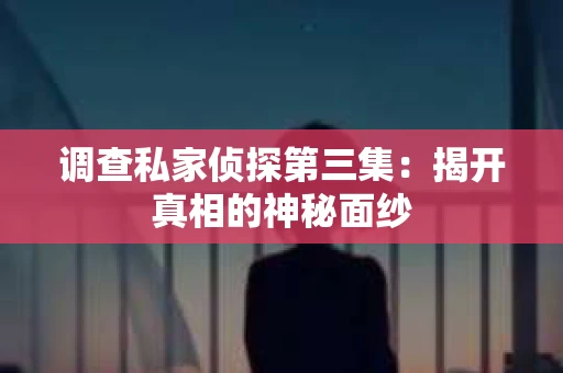 调查私家侦探第三集：揭开真相的神秘面纱