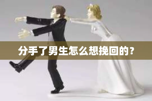 分手了男生怎么想挽回的？